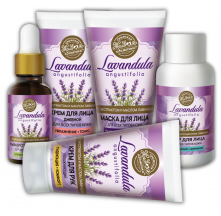lavandula